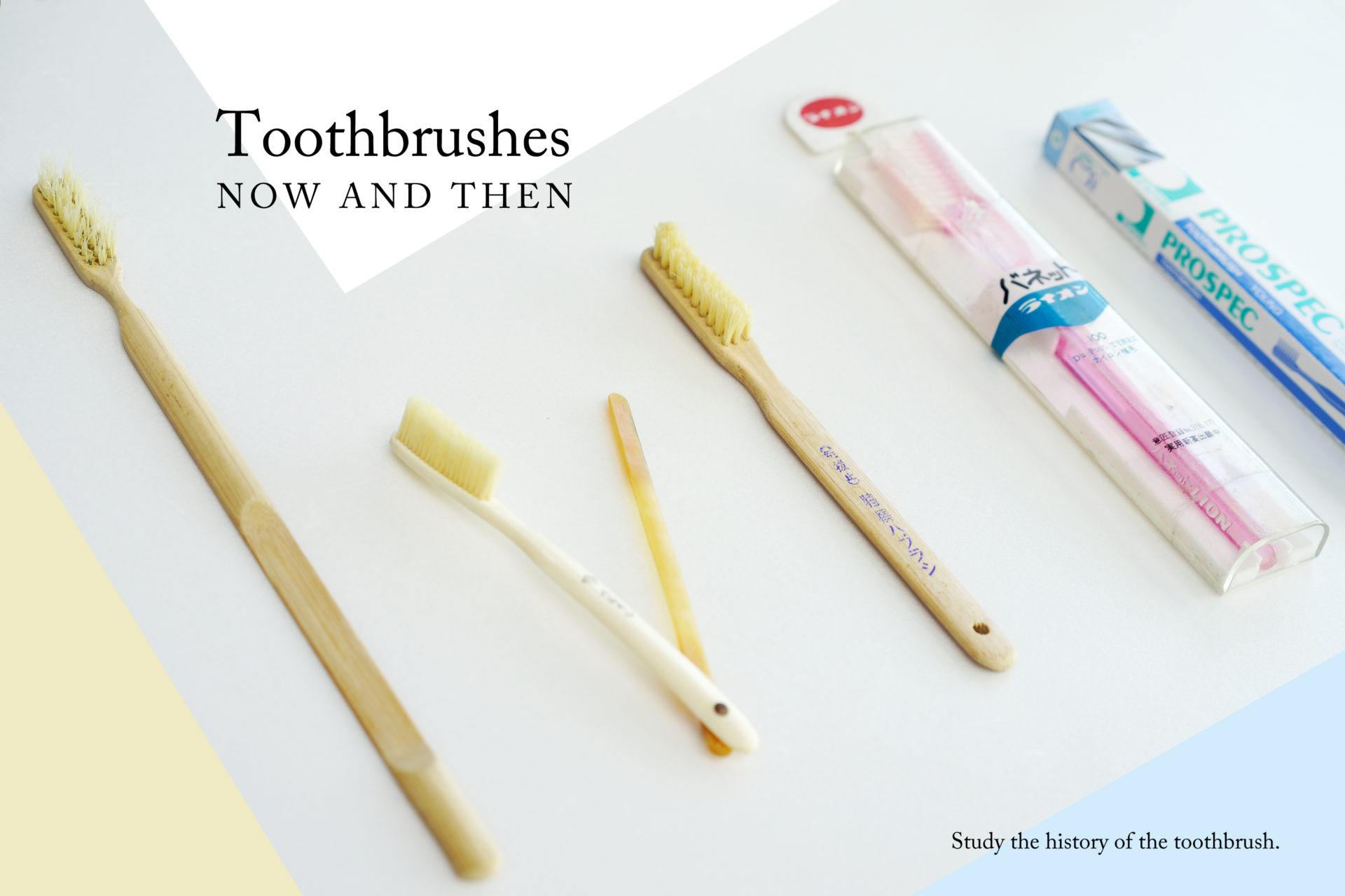 歯科の歴史をサクッと学ぼう（2） | ハノシゴト - 歯科の仕事に興味が